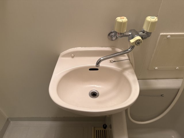 フラッツネオシティーの洗面所