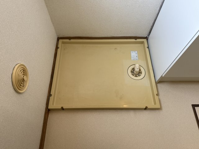 グリーンハウス継のその他