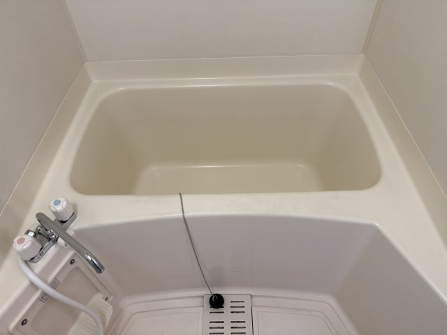 グリーンハウス継の浴室