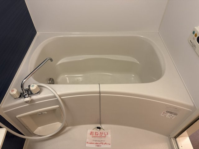 クレメント・Ｍ　Ⅱの浴室