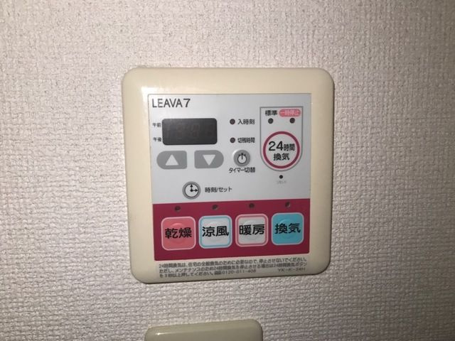 サイネリア－ＫⅠのその他