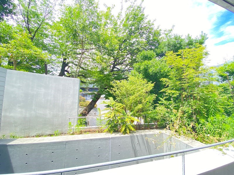 THE　DOORSの展望