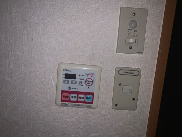 プラシードのその他