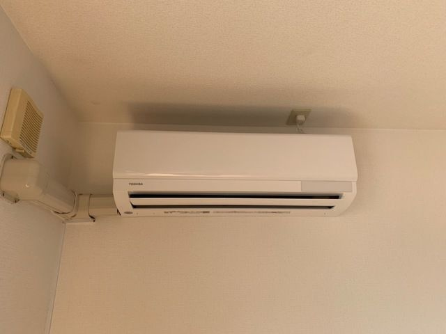 プラシードのその他