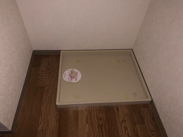 プラシードのその他