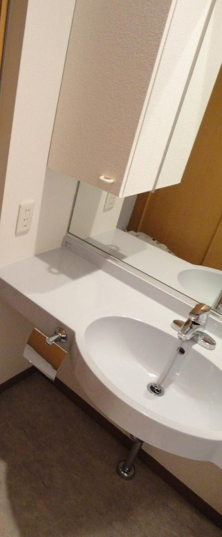 ソレアード上鷺の独立洗面台