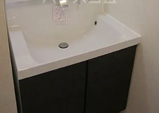 メゾントレフルの洗面所