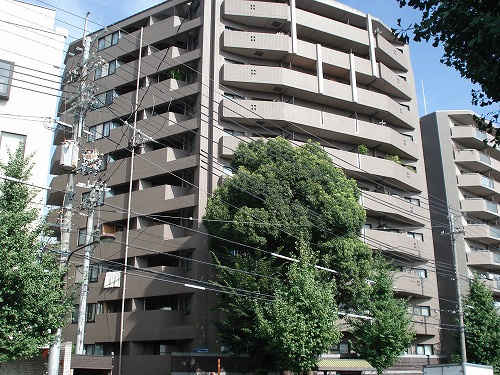 コスモ紫野