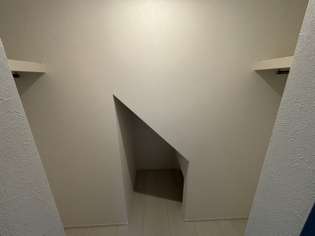 セナリオフォルム柏たなかⅡの収納
