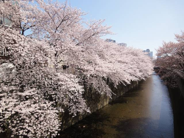 ＧＡＲＵＮＡ　ＯＫＵＢＯの周辺