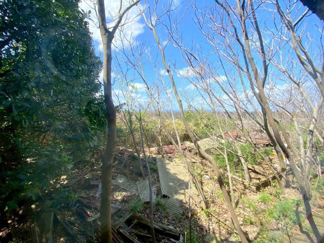 ■□淀江町今津戸建□■の展望|1階和室からの眺望になります。植栽がなくなれば海も見れる環境になります。