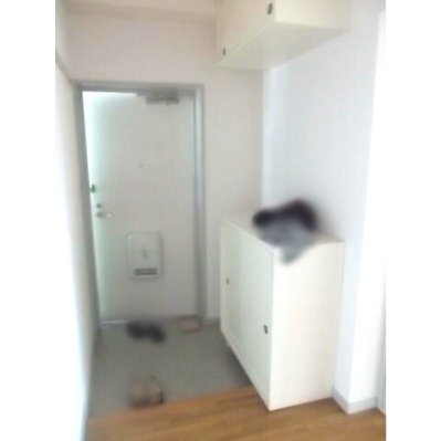 【玄関】 | 緑ヶ丘パレス井上