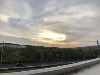 【展望】