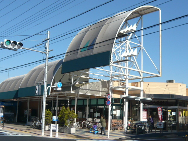 白樺のその他|マルフジ南田園店