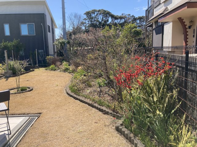 下田市　須崎 の庭