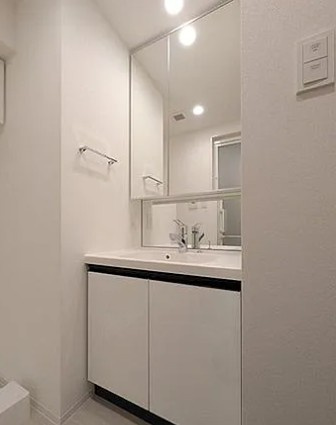 ZOOM本郷の洗面所