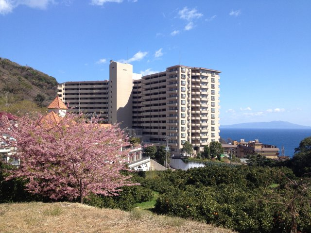エリゼ熱川