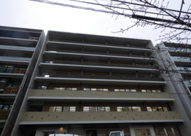 COURT　TAKETOKUⅡの画像