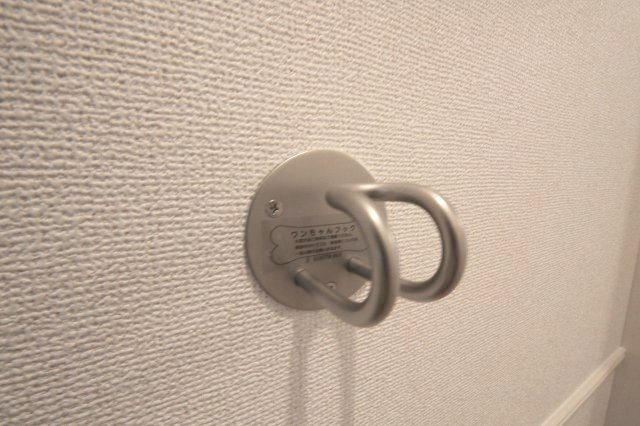 メゾン・ストリートⅡの設備|わんちゃんフックです