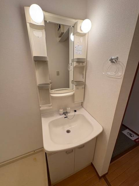 矢切クルーズの独立洗面台