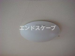 ボナールの設備|照明付
高崎、前橋のお部屋探しはエンドスケープまで！お客様の理想お聞かせ下さい♪