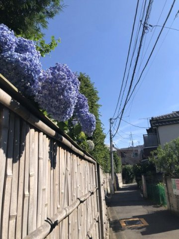 ルミエールタカハシのその他