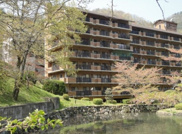 S52060-八瀬鱒乃坊ｱｰﾊﾞﾝｺﾝﾌｫｰﾄの画像