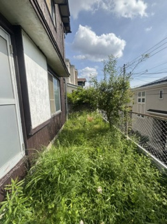 【庭】 | 中古戸建　横浜市戸塚区平戸2丁目 | 庭