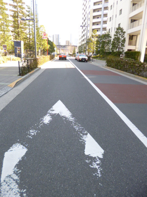 シティタワーズ豊洲ザ・シンボルのその他|前面道路