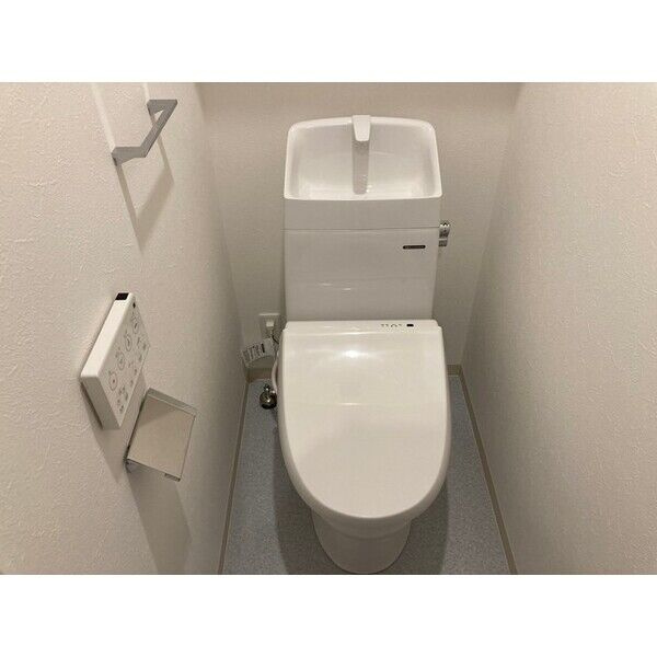 F asecia Ruminaのトイレ