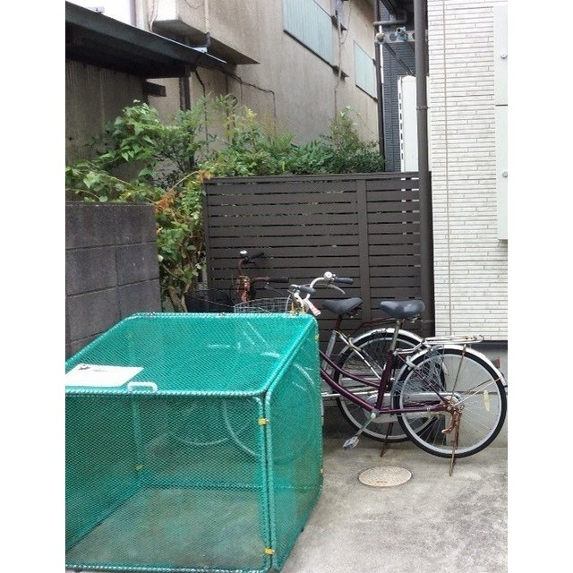 グリーンスポットのその他