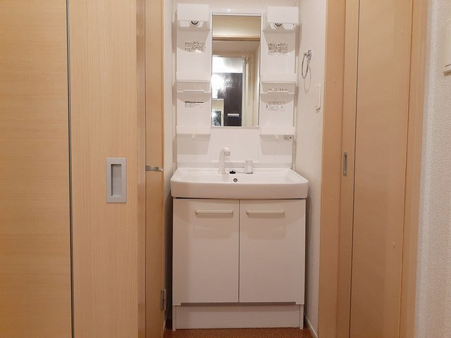 イリーデユーユーの洗面所