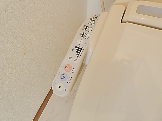 柴田春美借家のトイレ|落ち着いたトイレです