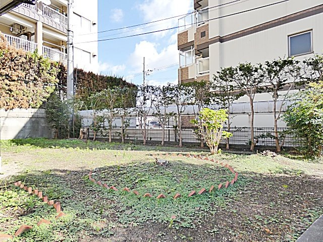 柴田春美借家の庭|たまにはお庭で休日を過ごしてみるのもよいかもしれません