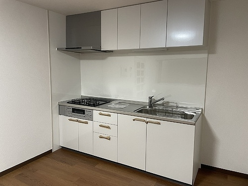 ライオンズマンション虹ヶ丘ガーデン参番館のキッチン|キッチン　内装後