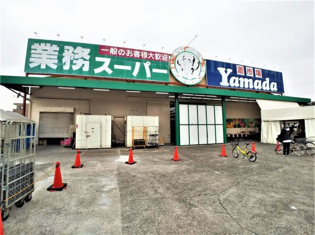 レオネクストヒマワリの周辺