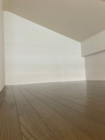 パルテンツァのその他