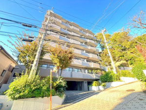 【南東向き・前面棟なし】ウィンベルコーラス新杉田の画像