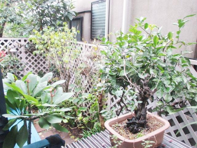 ラメールのその他