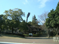 平塚総合公園まで600ｍ