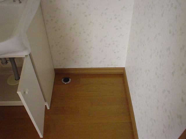ベルタのその他