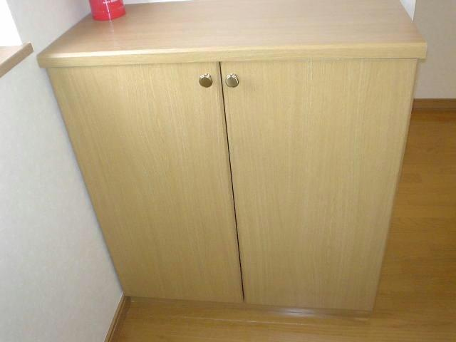 ベルタの収納