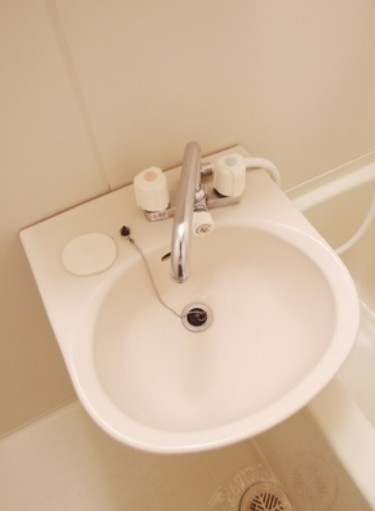 ウィステリアＫの洗面所