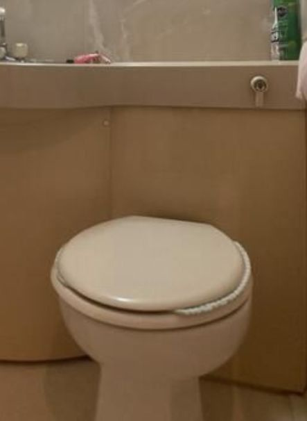 ライオンズマンション東新小岩のトイレ