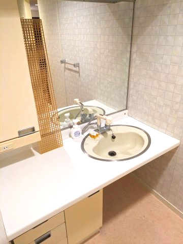 ラフィーヌ芦屋の独立洗面台
