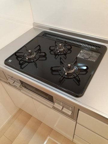 フィデール　リュウのその他