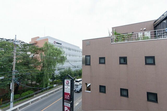 フィールドの展望