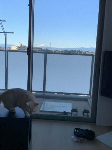 アンビシャス上尾のその他