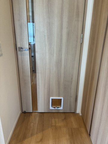 アンビシャス上尾のその他|猫が出入りしやすいようにしております