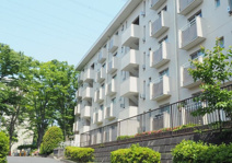 松が谷６番地住宅　自分だけの理想の住まいを叶える！の画像